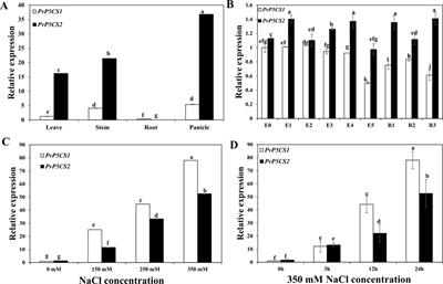 Proline Biosynthesis Enzyme Genes Confer Salt Tolerance to Switchgrass (Panicum virgatum L.) in Cooperation With Polyamines Metabolism